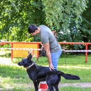 ���������� ������, ���� ������� �������, 37 ���, ������������ ��� ������, ���������