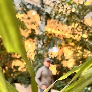 ���������� ������, ���� ����� ���, 25 ���, ������������ ��� ������, ����� � ���������