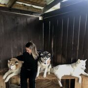 ���������� �����������, ���� ������� ���������, 29 ���, ������������ ��� c�������� ���������