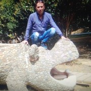 ���������� �����, ���� ������� ���������, 44 ����, ������������ ��� ������, ����� � ���������, c�������� ���������