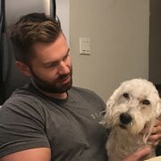 ���������� ������, ���� ������� ����, 43 ����, ������������ ��� ����� � ���������, c�������� ���������