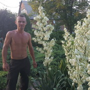  ,   , 42 ,   