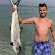 ���������� ������, ���� ������� �����, 33 ����, ������������ ��� ������, ����� � ���������, c�������� ���������