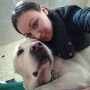 ���������� ����������, ���� ������� ��������, 31 ���, ������������ ��� ������, ����� � ���������, c�������� ���������