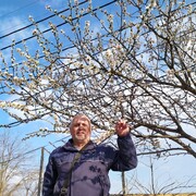  ,   , 65 ,   ,   , c 