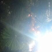 ���������� �������, ���� ����� ������, 23 ����, ������������ ��� ������, ����� � ���������