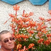  ,   Denis, 44 ,     , c 
