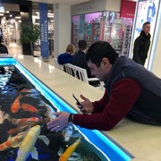 ���������� ����, ���� ������� Ruslan, 34 ����, ������������ ��� ������, ����� � ���������, c�������� ���������