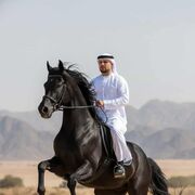 ���������� ������, ���� ������� ����� �����, 27 ���, ������������ ��� ������, ����� � ���������