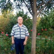  ,   , 83 ,   c 