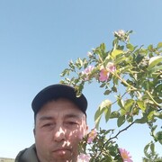 ���������� ����, ���� ������� �������, 41 ���, ������������ ��� ����� � ���������, c�������� ���������, ���������