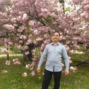  Praha,   Amadeus77773, 52 ,     , c 