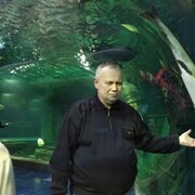 ���������� ������, ���� ������� ���������, 61 ���, ������������ ��� ������, ����� � ���������