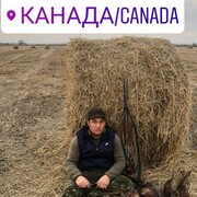  ,   Murat, 40 ,   ,   