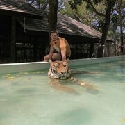 ���������� �������, ���� ������� �����, 35 ���, ������������ ��� ������, ����� � ���������, c�������� ���������