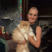 ���������� ���������, ���� ������� ��������, 66 ���, ������������ ��� ����� � ���������, c�������� ���������