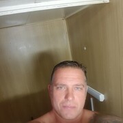  ,  Hestur, 41
