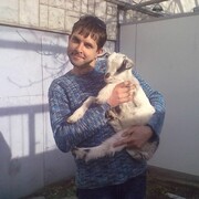 ��� �� ���� ������