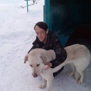 ���������� ��������, ���� ������� ��� �������, 40 ���, ������������ ��� ������, ����� � ���������