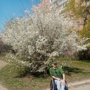  ,   , 33 ,     , c 