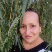   ,   , 53 ,   