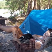 ���������� �����, ���� ������� �����, 40 ���, ������������ ��� ����� � ���������, c�������� ���������