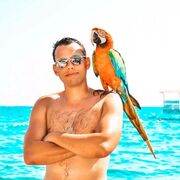   ,   , 35 ,   ,   