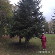  ,   , 50 ,   c 
