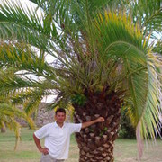  ,   , 56 ,   ,   , c 