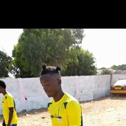  ,   Lamin best, 41 ,   ,   