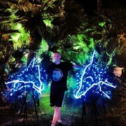 ���������� �����, ���� ����� ������, 22 ����, ������������ ��� ������, ����� � ���������, c�������� ���������