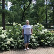 ���������� ������, ���� ������� ������, 65 ���, ������������ ��� ����� � ���������, c�������� ���������