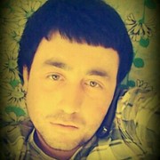  ,   SARDOR, 33 ,   ,   , c 