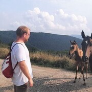  -,   , 43 ,  