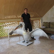  ,   Artak, 54 ,   