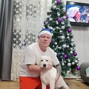 ���������� ���������, ������� �������, 45