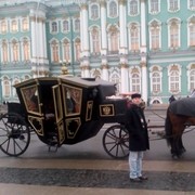 ���������� �����, ���� ������� ������, 43 ����, ������������ ��� ������