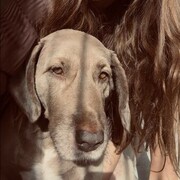  -,   Anastasia, 37 ,   ,   , c 