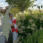 ���������� ������, ���� ������� ���������, 57 ���, ������������ ��� ����� � ���������, c�������� ���������