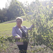 ���������� �����, ���� ������� �����, 55 ���, ������������ ��� ������, ����� � ���������, c�������� ���������, ���������