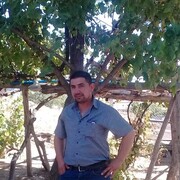  -,   Umut, 46 ,   ,   