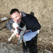 ���������� �����, ���� ������� ��������, 37 ���, ������������ ��� ������, ����� � ���������, c�������� ���������