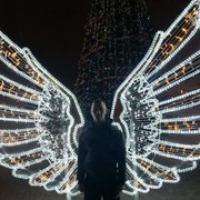 ���������� ���������, ���� ������� �����, 42 ����, ������������ ��� ����� � ���������, c�������� ���������