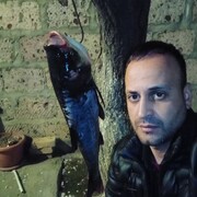  ,   , 37 ,   ,   