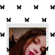 ���������� ������, ���� ������� ������, 21 ���, ������������ ��� ������, ����� � ���������