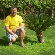  ,   , 41 ,   ,   , c 