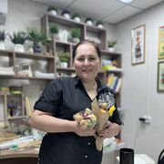  ,   , 44 ,   ,   