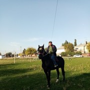 ���������� ������, ���� ������� ����, 44 ����, ������������ ��� ������, ����� � ���������, c�������� ���������