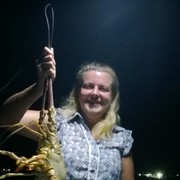  ,   , 43 ,  