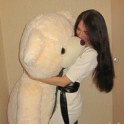 ���������� ����, ���� ������� ������, 33 ����, ������������ 